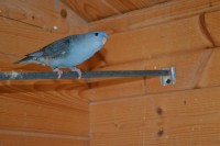 /album/galerie-photos/csc-0082-jpg/